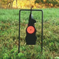 Spinning Reset Targets Pellet Shooting Targets